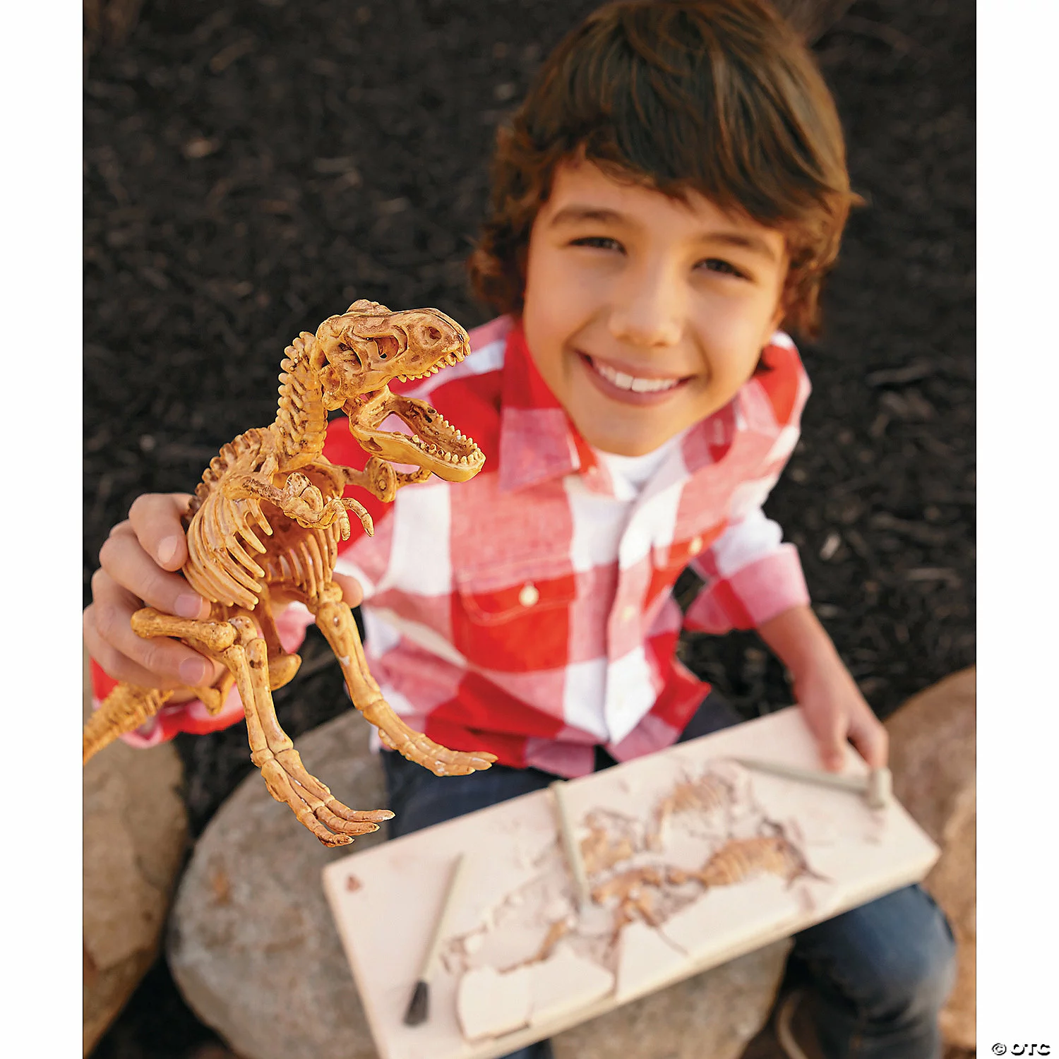 MW Dig It Up! Dino Model: T-Rex 4 MW Dig It Up! Dino Model: T-Rex - Image 2