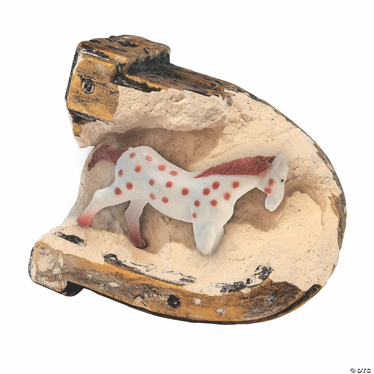 MW Dig It Up! Discoveries: Horses 5 MW Dig It Up! Discoveries: Horses - Image 3