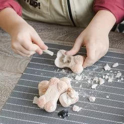 MW Dig It Up! Discoveries: Puppies -Creative Activities Sales dig it up discoveries puppies13933559 a02