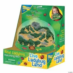 MW Ladybug Land