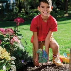 MW Paint Your Own Stone Dragon -Creative Activities Sales paint your own stone dragon14103801 a03