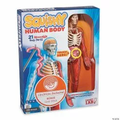 MW Squishy Human Body 11 MW Squishy Human Body -Creative Activities Sales squishy human body56164 a04