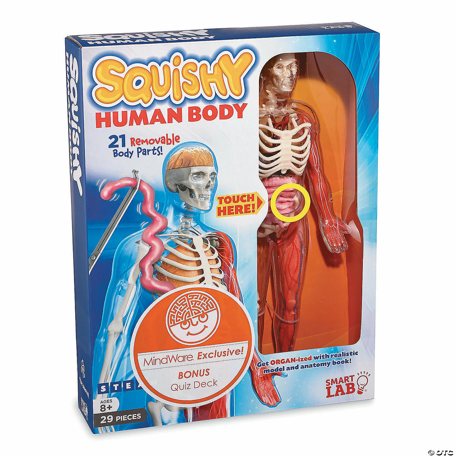 MW Squishy Human Body 7 MW Squishy Human Body - Image 5